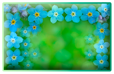 --- (369x240, 140Kb)