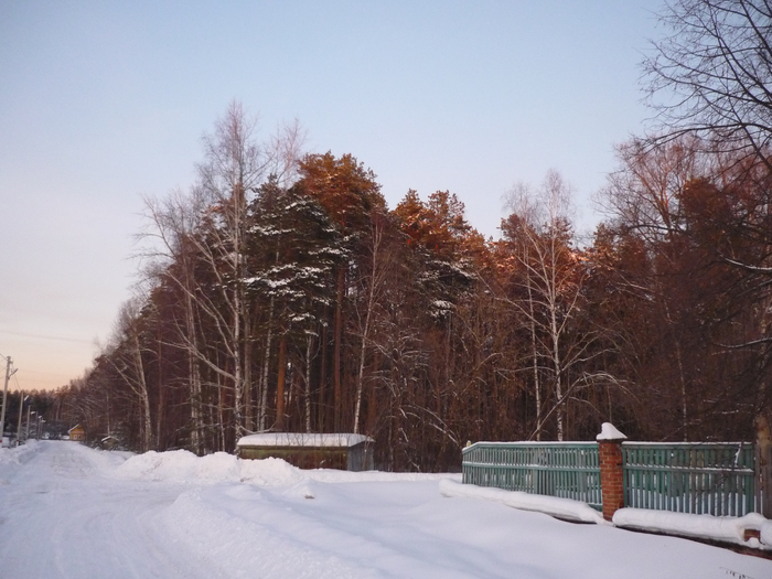 P1220942 (700x525, 354Kb)