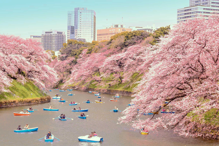 TokyoTG-Peach-Blossoms-Boats-YoshikazuTakada_nopink (700x466, 502Kb)