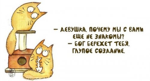 1553325740_4 (500x271, 24Kb)