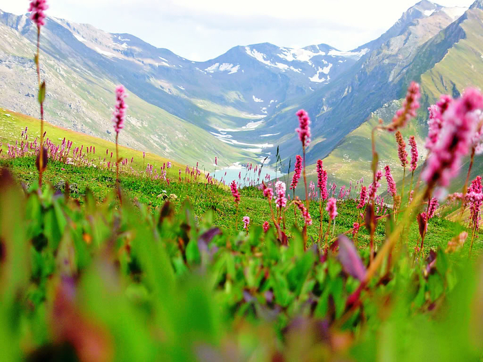 950_Valley_of_flowers_Himalaya (1) (700x525, 494Kb)