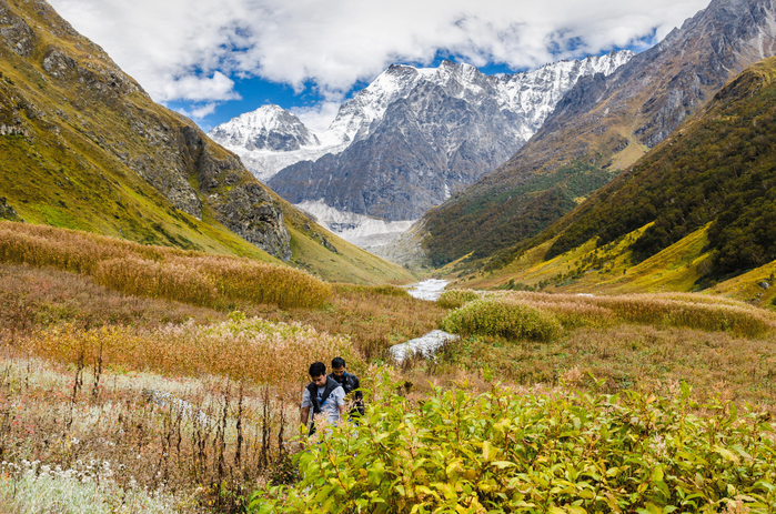 950_Valley_of_flowers_Himalaya (14) (700x463, 593Kb)