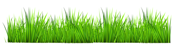 73ebf36fd801d8c9205b4111e23641e1 (600x154, 165Kb)