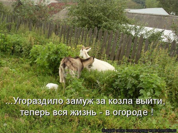 179646396_cbbffdb870d18742c89d7a359030ac1c_800 (700x524, 106Kb)