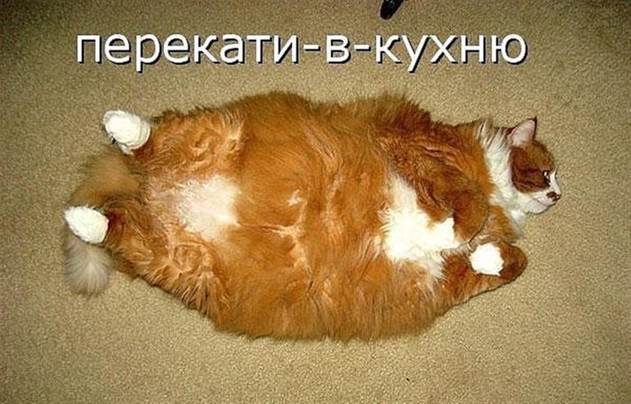  1 (700x449, 106Kb)