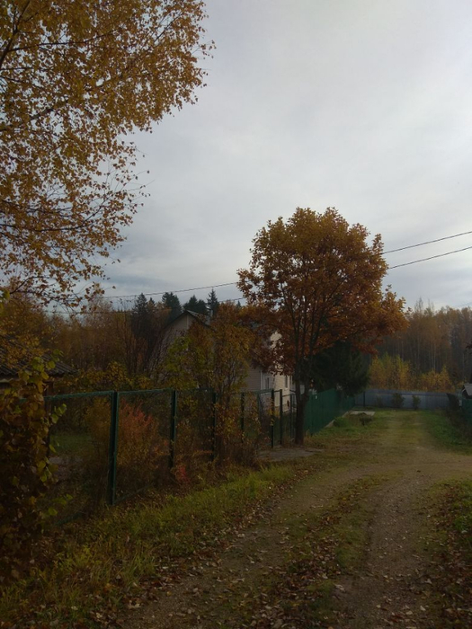 1539436800210 (525x700, 371Kb)