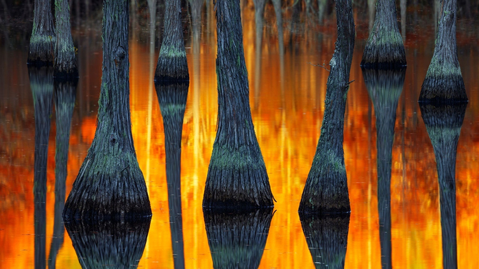 6 (700x393, 354Kb)