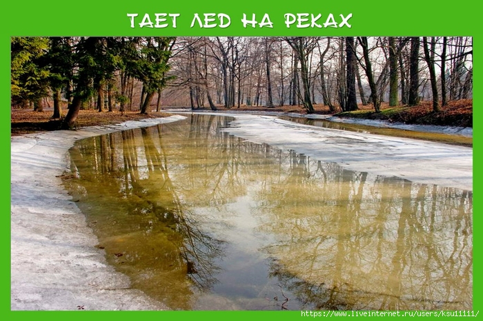  (2) (700x466, 311Kb)