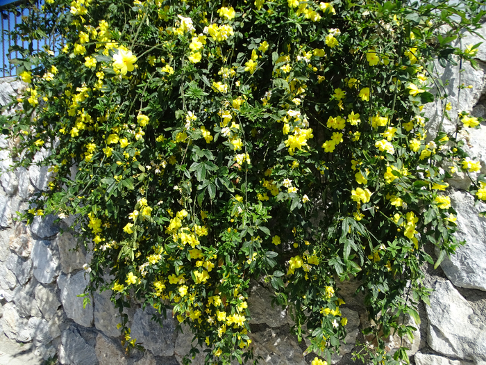 DSC00112 (700x525, 691Kb)