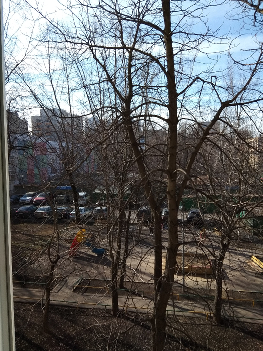 IMG_20190331_092010 (525x700, 498Kb)