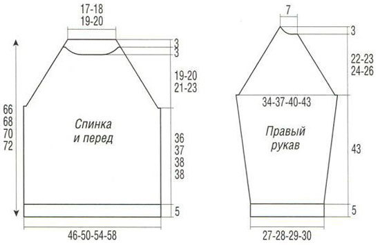 shematicheskaya-vikroika-muzhskogo-svitera-reglan (550x355, 46Kb)