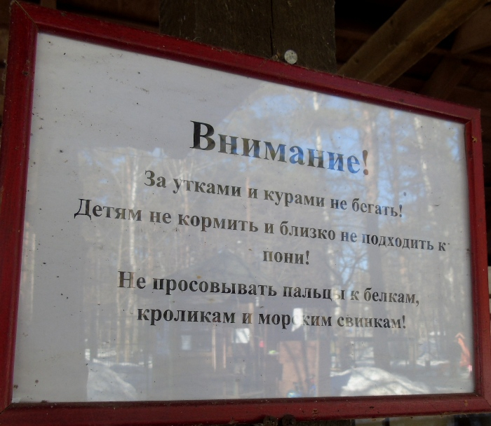 DSC00858 (700x608, 336Kb)