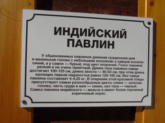 DSC00943 (700x525, 435Kb)