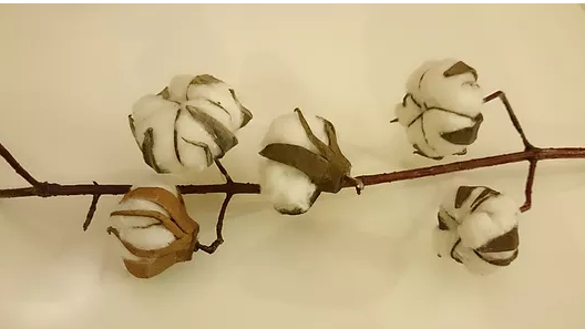 ммммммммммммммммм (528x297, 133Kb)