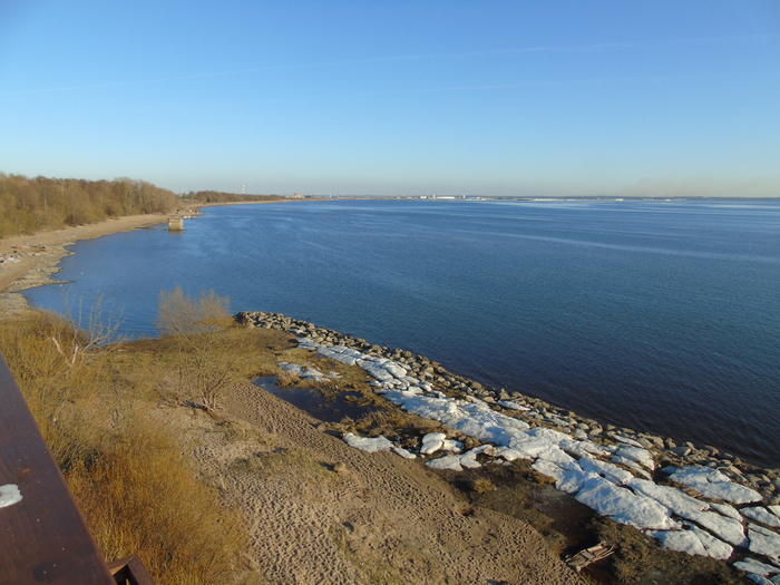 DSC02471 (700x525, 455Kb)