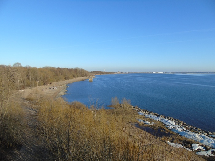 DSC02475 (700x525, 301Kb)