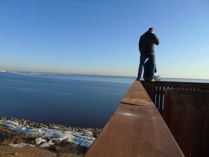 DSC02495 (700x525, 256Kb)