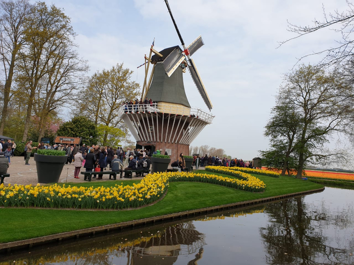 IMG-20190417-WA0002 (700x525, 425Kb)