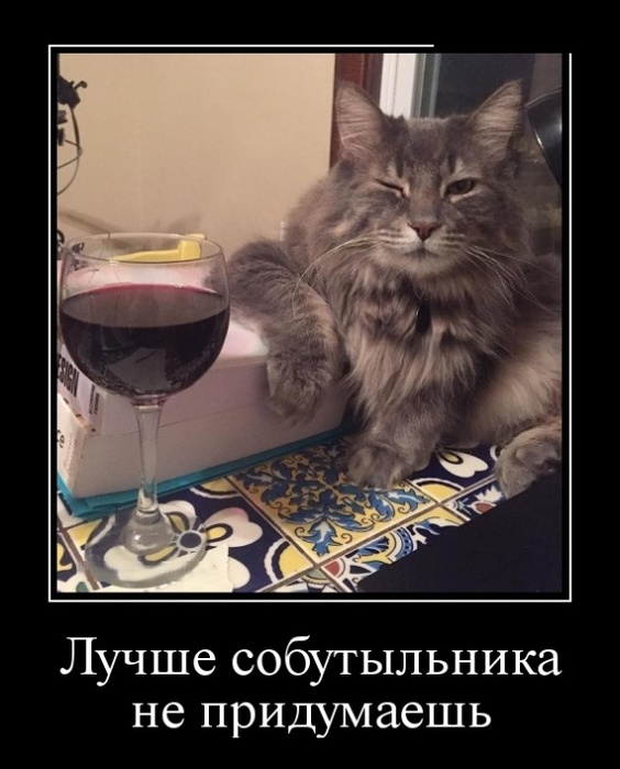 https://img0.liveinternet.ru/images/attach/d/2/148/150/148150908_4809770_ukotik4.jpg