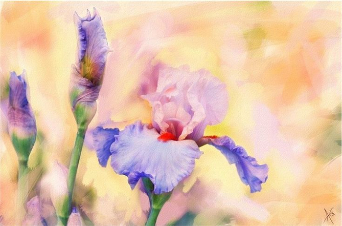 9f9e245cdc5c07d1fa8ed9dcfb60858f--tree-art-flower-paintings (700x463, 313Kb)