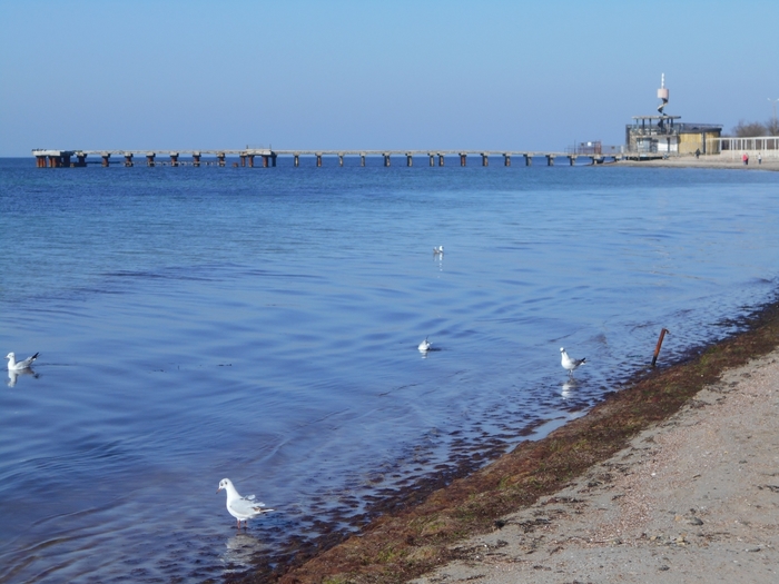 4878453_ukr_1792 (700x525, 243Kb)