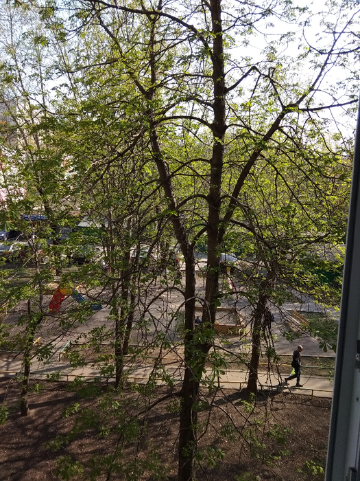 IMG_20190425_160420 (525x700, 579Kb)