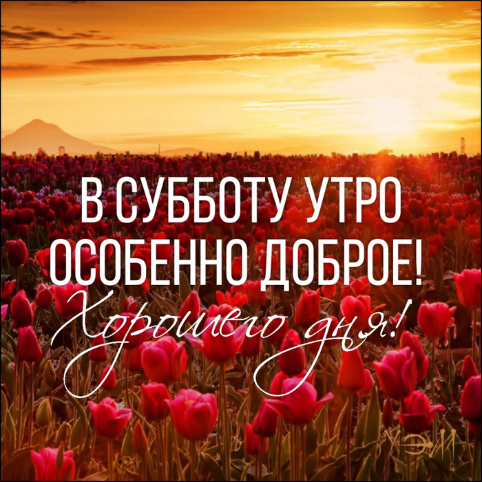 https://img0.liveinternet.ru/images/attach/d/2/148/180/148180130_otkruytka.jpg