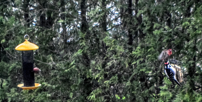 dv2 (700x354, 305Kb)