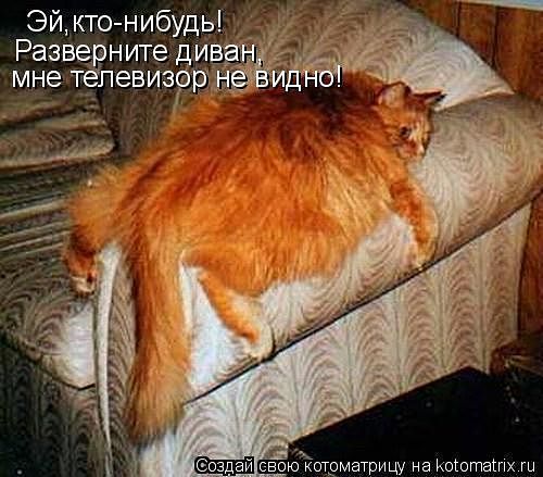 4743317_photo_1555820570 (500x439, 46Kb)