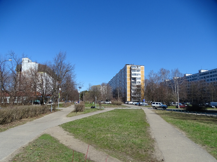 DSC00074 (700x525, 395Kb)