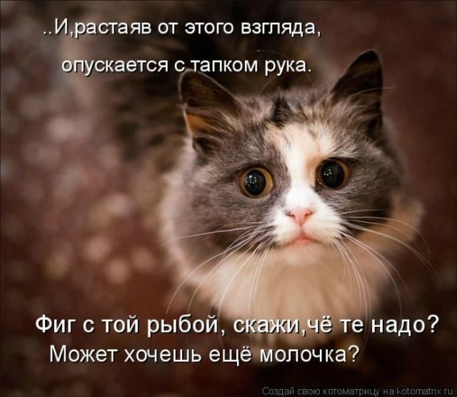 4743317_photo_1555820680 (640x556, 65Kb)
