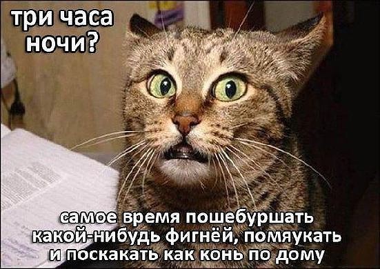 4743317_photo_1555820719 (551x390, 68Kb)