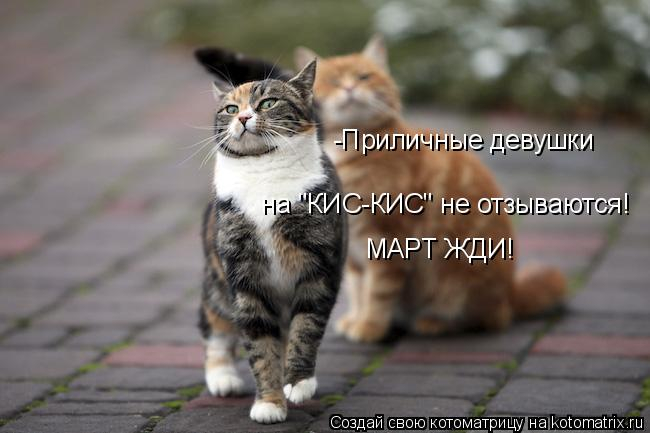 705363 (650x433, 149Kb)
