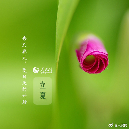 9 (440x440, 92Kb)
