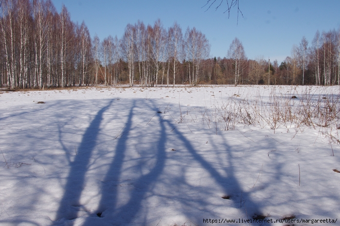 IMGP1659 (700x464, 279Kb)