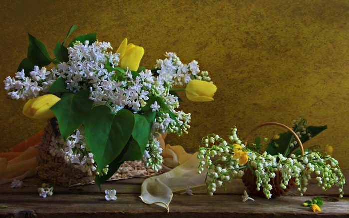 image (700x437, 95Kb)