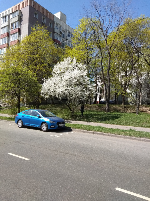 IMG_20190429_130626 (525x700, 480Kb)