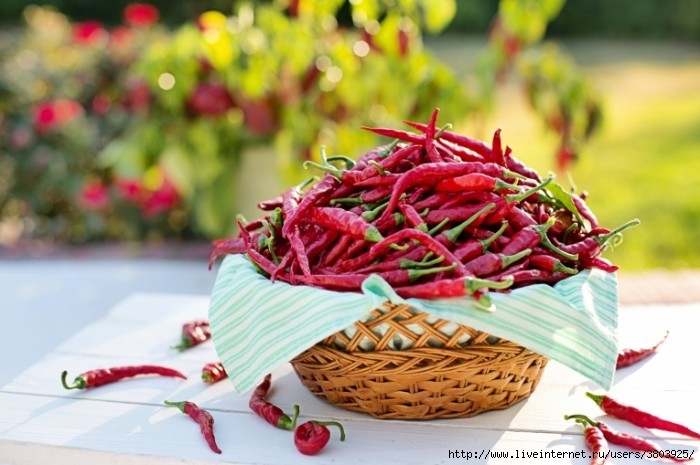 Perets-ostryiy-priprava-korzinka-Pepper-spicy-seasoning-basket-5120x3412-700x465 (700x465, 193Kb)