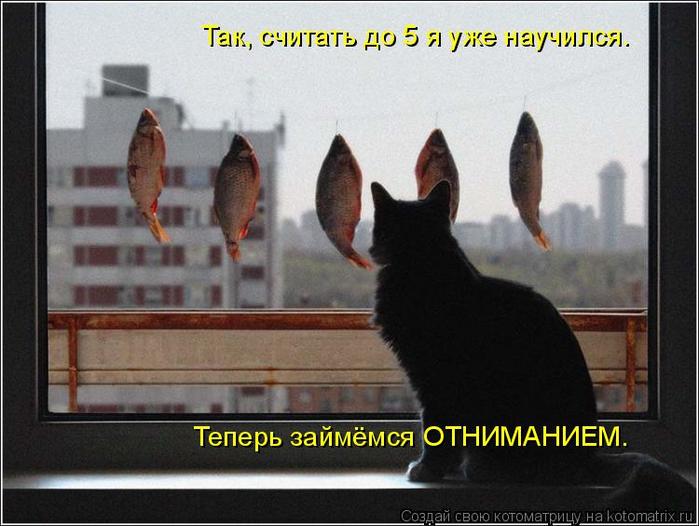 4743317_kotomatritsa_v (700x526, 51Kb)