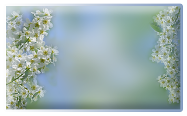 5392353_miniaturash_cheremyha (370x230, 102Kb)