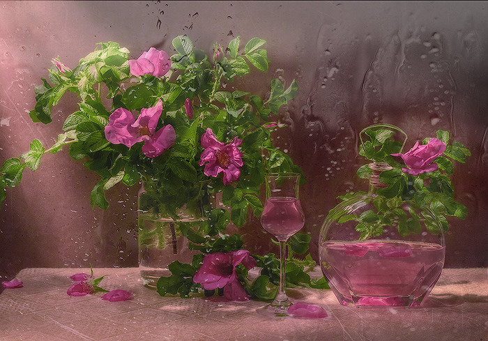 5084241_large (700x489, 167Kb)