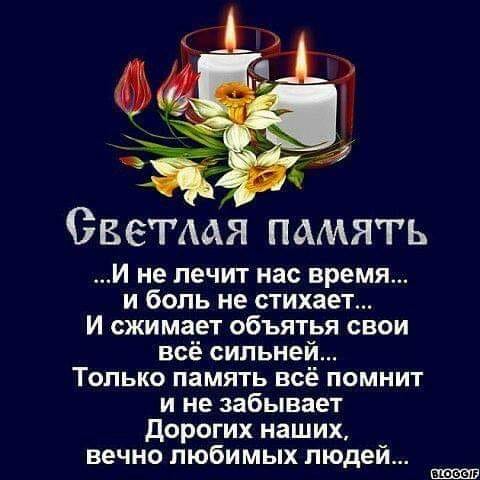     (480x480, 32Kb)