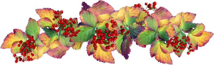 1554986045_leaves4070047_960_720 (699x212, 260Kb)