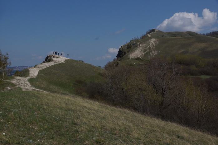 DSC02261 (700x466, 120Kb)
