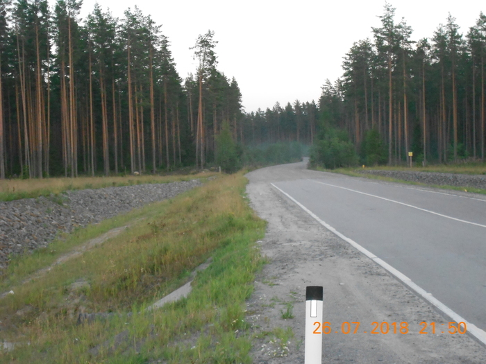 DSCN0792 (700x525, 251Kb)