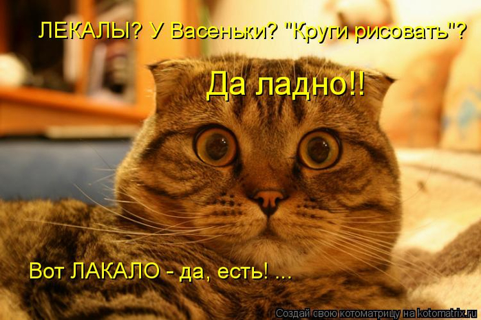 kotomatritsa_E (2) (700x466, 385Kb)