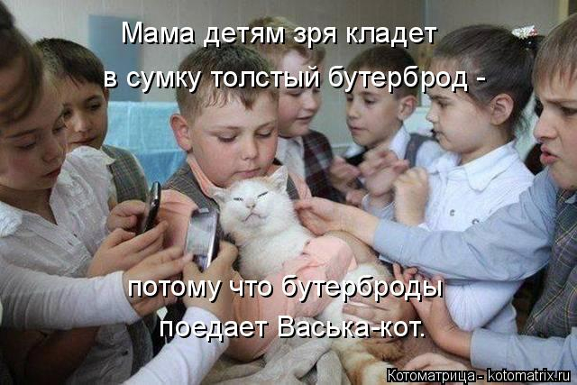 kotomatritsa_K (2) (640x427, 211Kb)