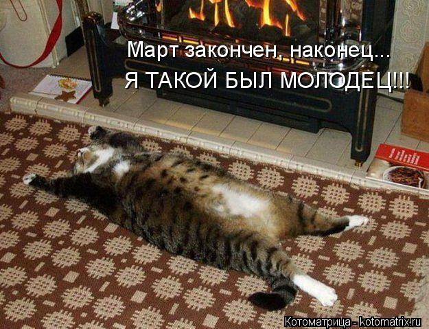 kotomatritsa_R (625x479, 274Kb)