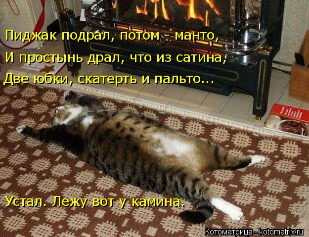 kotomatritsa_s (4) (625x479, 319Kb)