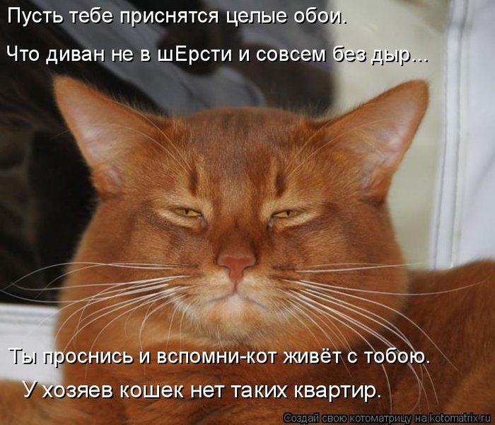 kotomatritsa_u (700x600, 374Kb)